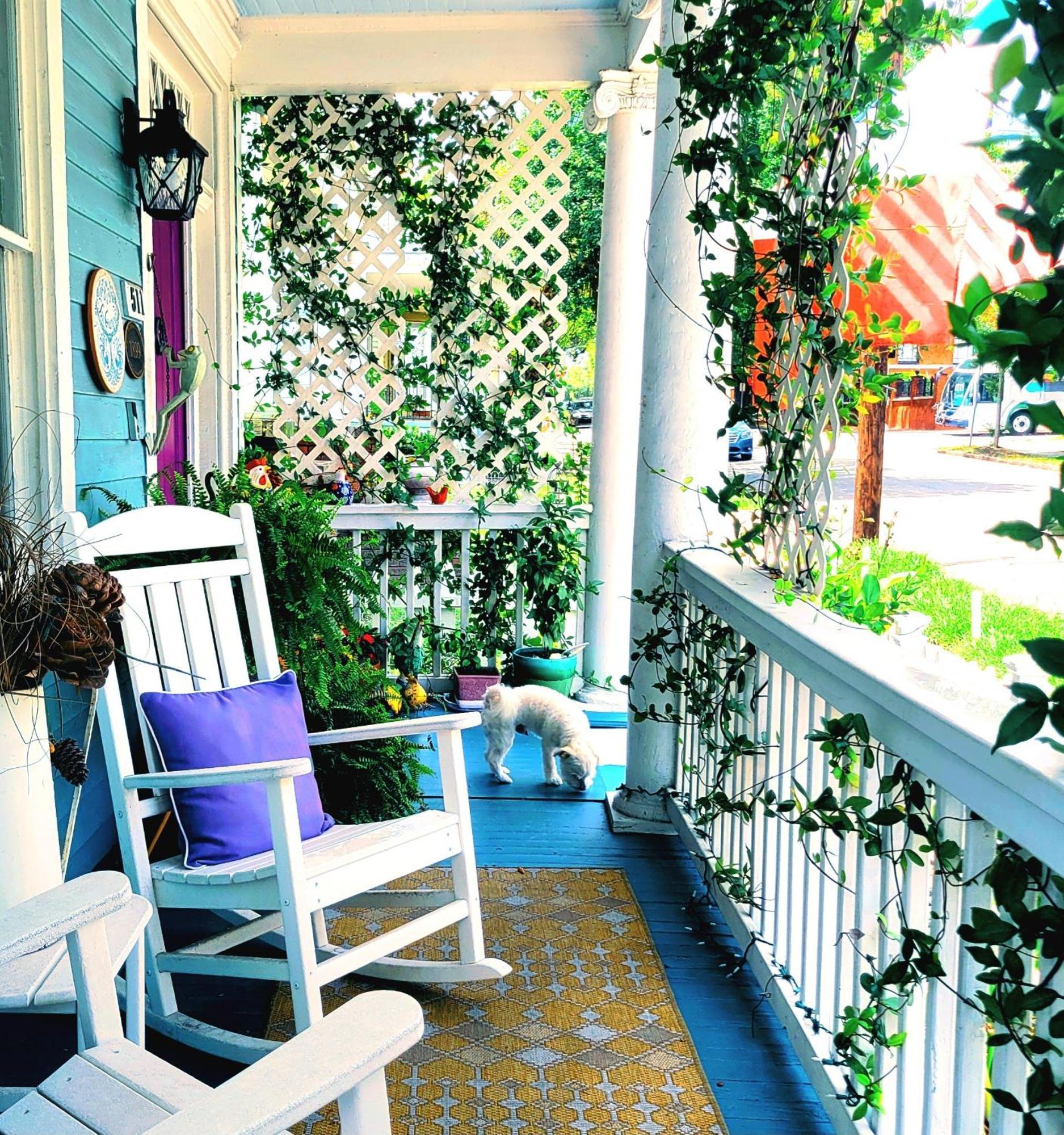 B&B Zia Gianna Savannah Dış mekan fotoğraf